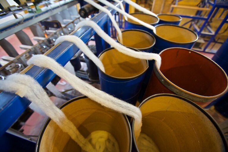 Wool production in North Ronaldsay