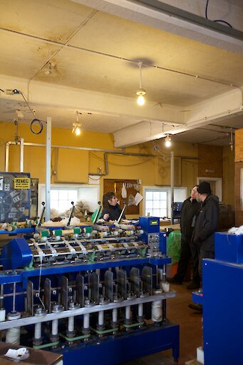 Wool production in North Ronaldsay