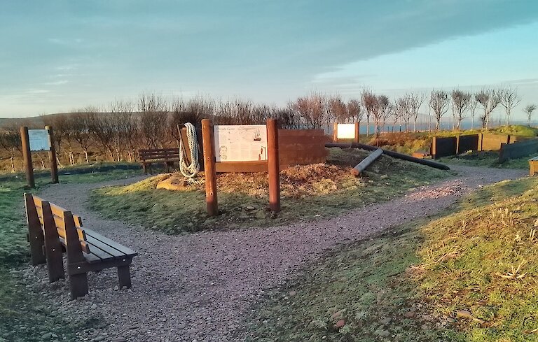 A sheltered area of the new garden