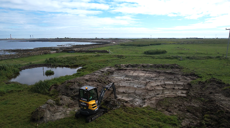 Scrapes being dug at Westness in North Ronaldsay - vegetation soon colonises the bare earth.